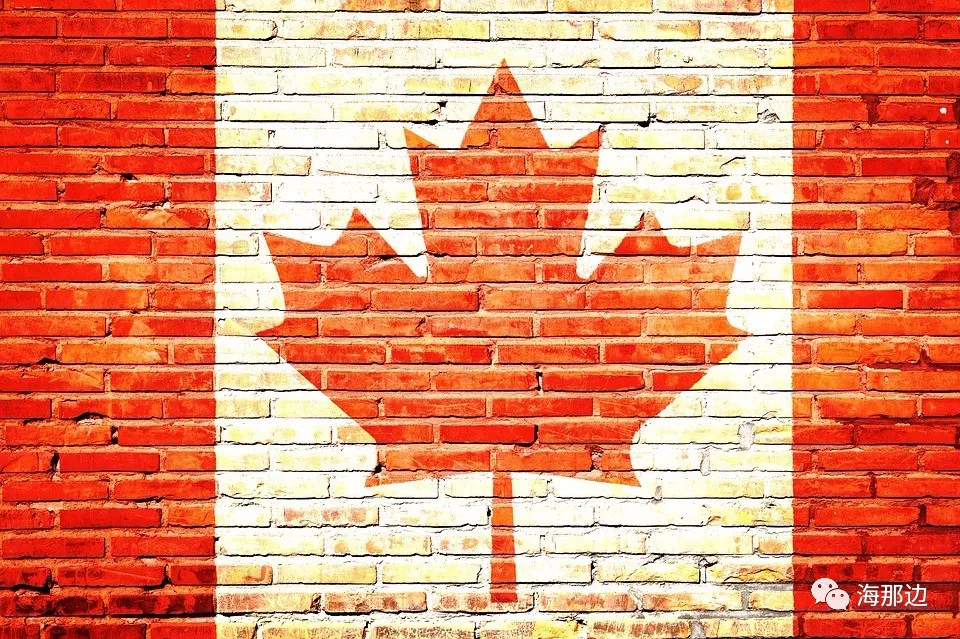 怎样技术移民到加拿大？